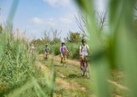 Aigues-Mortes - Balade &agrave; v&eacute;lo