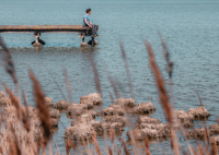 Aigues-Mortes - La Marette