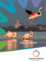 Aigues-Mortes - Couverture circuit de visite (anglais)