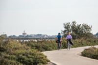 Aigues-Mortes - Balade à vélo