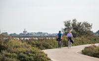 Aigues-Mortes - Balade à vélo