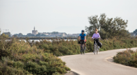 Aigues-Mortes - Balade à vélo