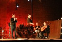 Aigues-Mortes - Festival Marguerite