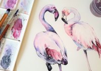 Aigues-Mortes - Flamants Roses en aquarelle