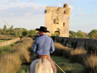 Aigues-Mortes - Gardian Tour Carbonni&egrave;re
