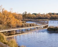 Aigues-Mortes - La Marette