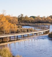 Aigues-Mortes - La Marette