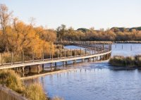 Aigues-Mortes - La Marette