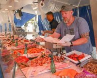 Aigues-Mortes - March&eacute;