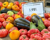 Aigues-Mortes - March&eacute;