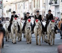 Aigues-Mortes - No&euml;l en Camargue