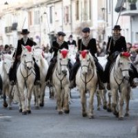 Aigues-Mortes - No&euml;l en Camargue
