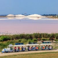 Aigues-Mortes - Petit Train