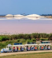 Aigues-Mortes - Petit Train