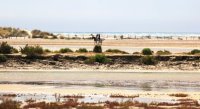 Aigues-Mortes - Promenade à cheval