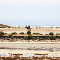 Aigues-Mortes - Balade &agrave; cheval