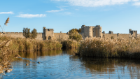 Aigues-Mortes - Remparts (accueil)
