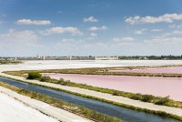 Aigues-Mortes - Salins