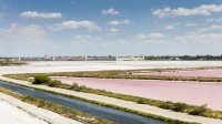 Aigues-Mortes - Salins