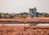 Aigues-Mortes - Tour Carbonni&egrave;re