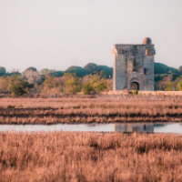 Aigues-Mortes - Tour Carbonni&egrave;re
