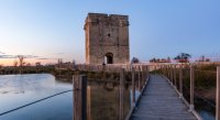 Aigues-Mortes - Tour Carbonnière