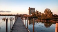 Aigues-Mortes - Tour Carbonnière