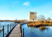 Aigues-Mortes - Tour Carbonnière