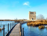 Aigues-Mortes - Tour Carbonnière