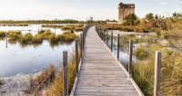 Aigues-Mortes - Tour Carbonni&egrave;re