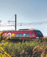 Aigues-Mortes - Train