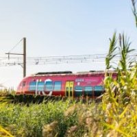 Aigues-Mortes - Train 