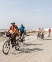 Aigues-Mortes - Cyclistes dans les salins