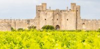 Aigues-Mortes - Vignes et Remparts