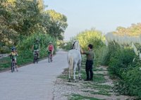 Cyclistes et gardian