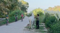 Cyclistes et gardian