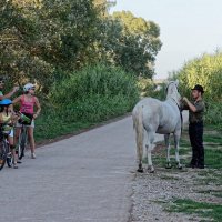 activités et loisirs