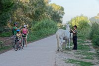 velo voie verte cheval