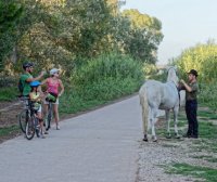 Aigues-Mortes - Balade &agrave; v&eacute;lo