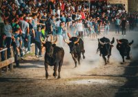 7 conseils d'initiés pour une fête votive inoubliable à Aigues-Mortes