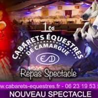 Cabarets équestres de Camargue 3