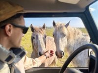 Camargue Autrement