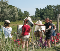 Camargue Autrement - V&eacute;los