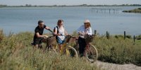 Camargue Autrement - V&eacute;los