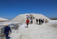 Visite aux salins d'Aigues-Mortes 2