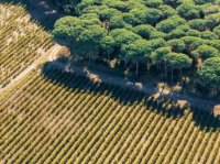 Domaine Terre de Sables
