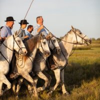 Gardian à cheval dans les prés de la manade lors d'une soirée camarguaise