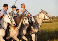 Gardian à cheval dans les prés de la manade lors d'une soirée camarguaise