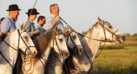 Gardian à cheval dans les prés de la manade lors d'une soirée camarguaise