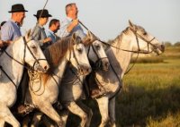 Aigues-Mortes - Manade / Gardians